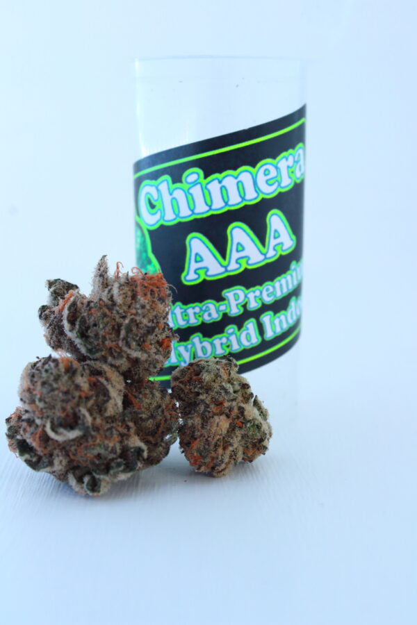 Chimera Indoor Hybrid AAA Grade