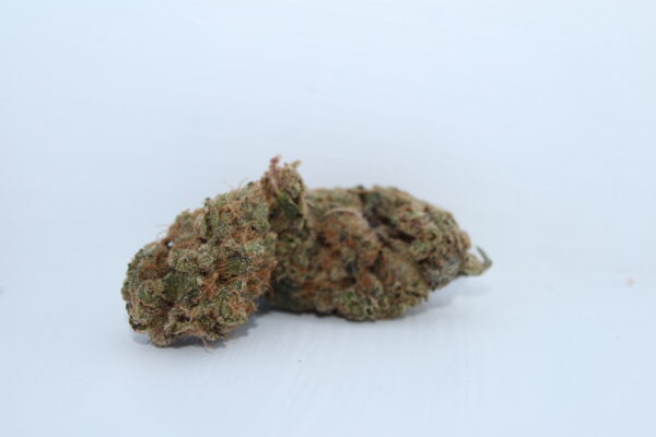 Giga Gas Indoor Indica 3G Bag - Image 2