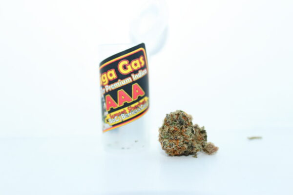 1 Gram Giga Gas Bud - Image 4