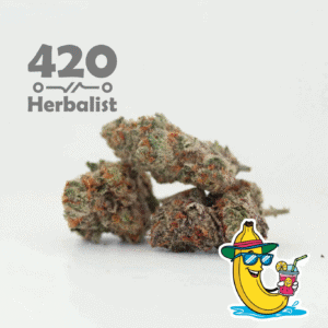 3 Grams of Banana Cooler indoor weed