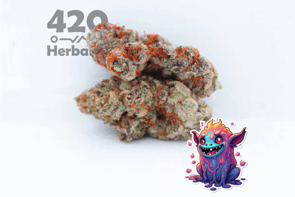 3 Grams of Terple AAA Indoor weed