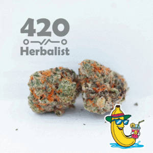 1 Gram of Banana Cooler Indoor weed