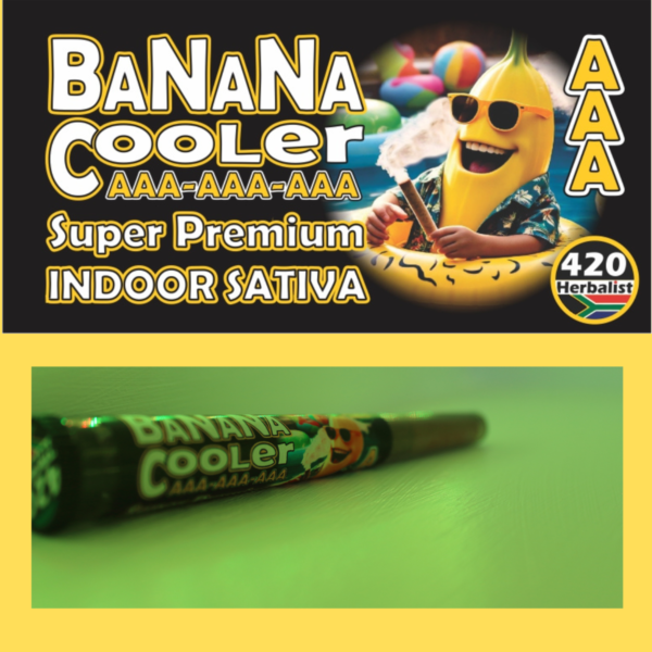 Banana Cooler Indoor Hybrid Pre-Roll