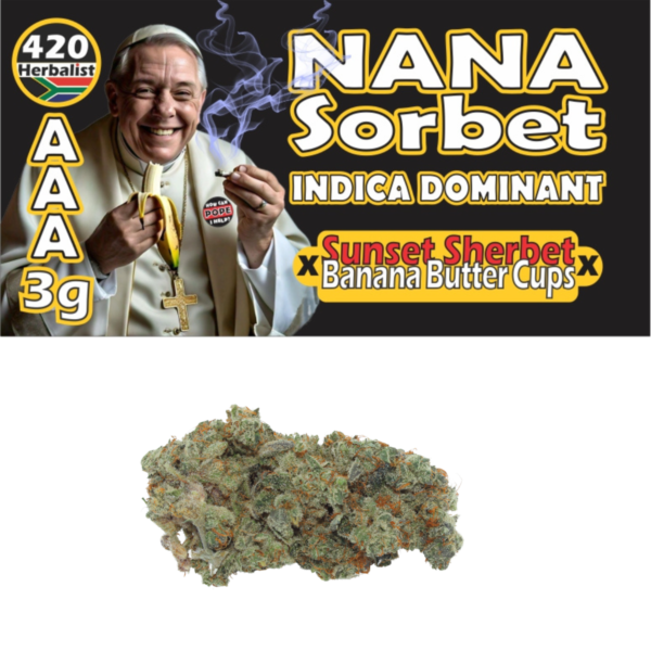 Nana Sorbet Indoor 3G Bag