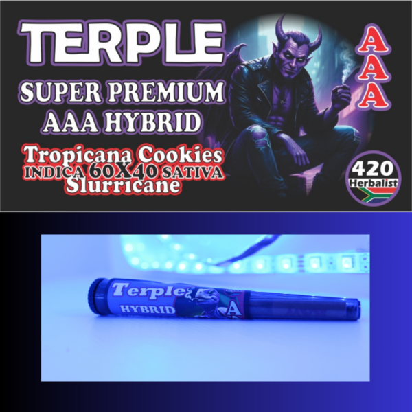 Terple Indoor Hybrid Pre-Roll