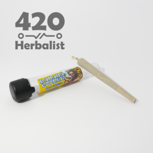 Banana Cooler 1G indoor pre-roll. Hand-cut, glove-rolled flower with creamy banana notes and an uplifting, balanced experience. Banana Cooler 1G indoor pre-roll. Hand-cut, glove-rolled flower with creamy banana notes and an uplifting, balanced experience.