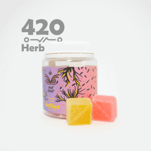 240mg pineapple full spectrum THC Jelly