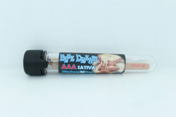A 1 Gram Blue Dream Indoor Sativa Joint