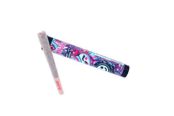 Gelato Bliss 1 Gram greenhouse hybrid joint