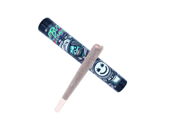 1G Flatbush Zombie greenhouse pre-roll