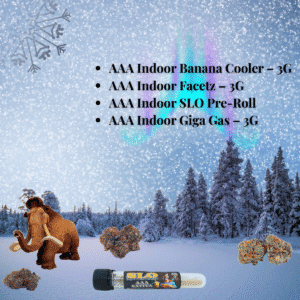 Manny Indoor Bundle