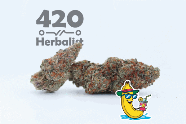 10 Grams of Premium Indoor Banana Cooler Weed