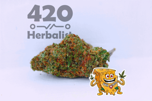 Super Cheese 3G Greenhouse weed