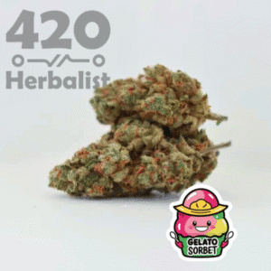 3 Grams of AAA Indoor Gelato Sorbet strain