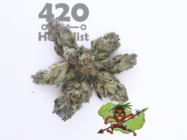 3 Grams of Durban Poison Greenhouse Sativa weed
