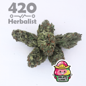 3 Grams of Gelato Bliss Greenhouse weed