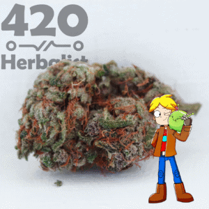 3 Grams of AAA Indoor Space Cake hybrid weed flower