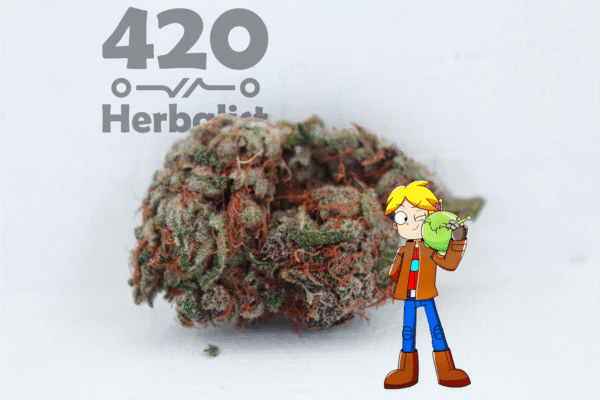 3 Grams of AAA Indoor Space Cake hybrid weed flower