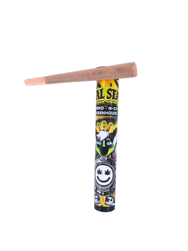 1 Gram Greenhouse Royal Stank pre-roll