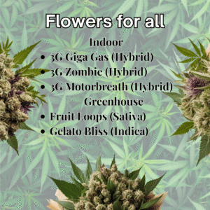 Cannabis Flower special