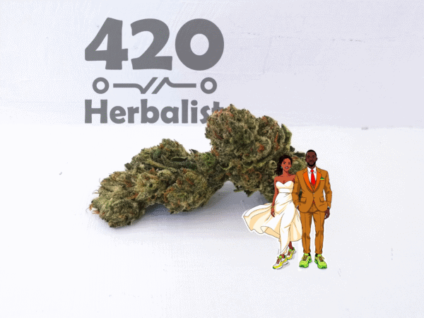 Greenhouse Jamaican Wedding strain 3 Grams Cannabis