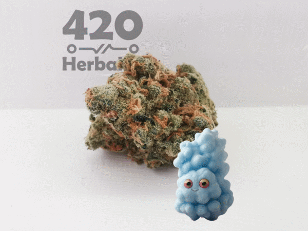 3 Grams of Blue Dream Sativa Cannabis Flower