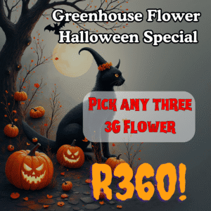 Greenhouse Halloween Cannabis flower special