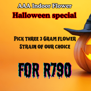 Halloween Indoor Inhouse flower special