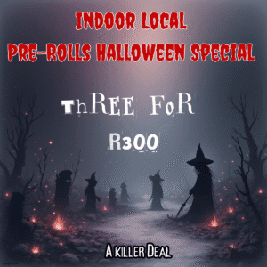 Local Indoor Pre-Roll Halloween Special