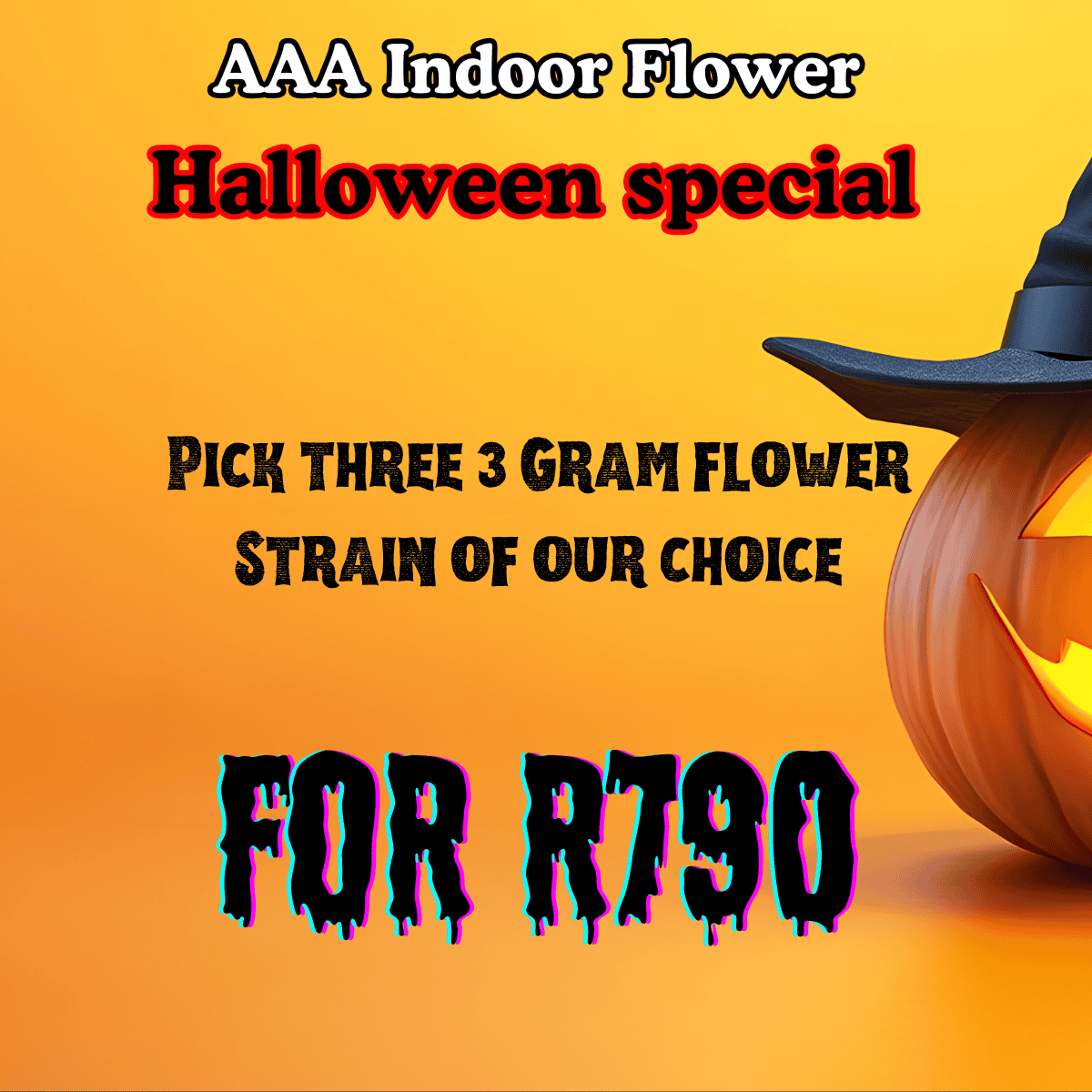 Halloween Indoor Inhouse flower special