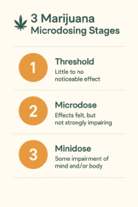 A infographic about cannabis microdosing
