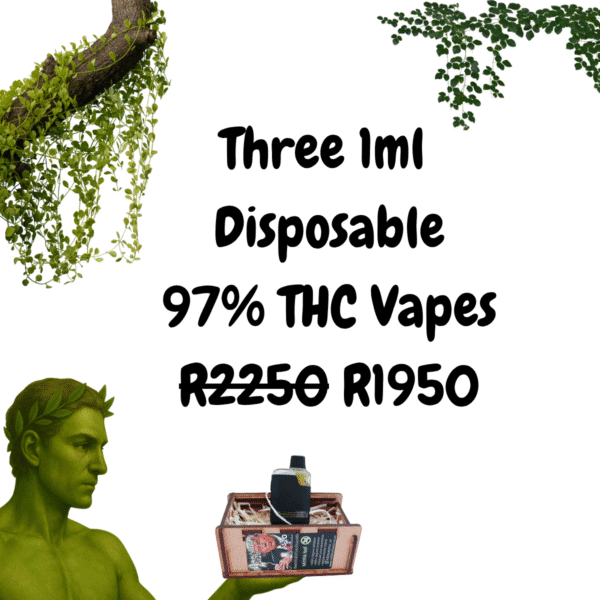 1ml Disposable THC Vape Special