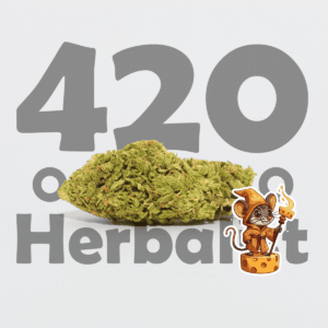 Cheese Greenhouse 3G Hybrid Cannabis Flower