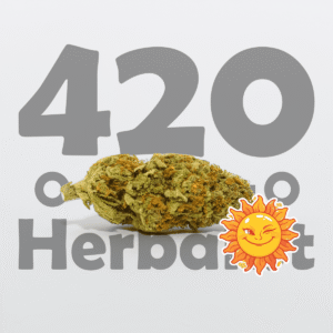 Cheeky Sunset Greenhouse 3G Hybrid/Sativa Cannabis flower Cheeky Sunset Greenhouse 3G Hybrid/Sativa Cannabis flower