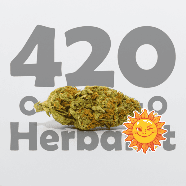 Cheeky Sunset Greenhouse 3G Hybrid/Sativa Cannabis flower Cheeky Sunset Greenhouse 3G Hybrid/Sativa Cannabis flower