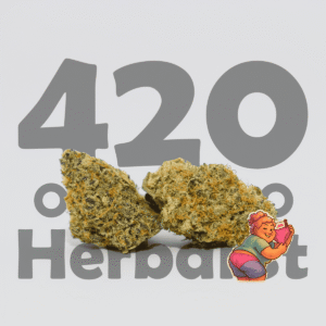 Pink Panties AAA Indoor 3G Indica