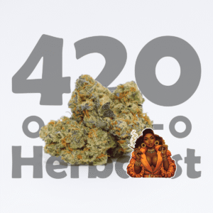 StayPuft AAA Indoor 3G Hybrid/Sativa Cannabis Flower Hydro