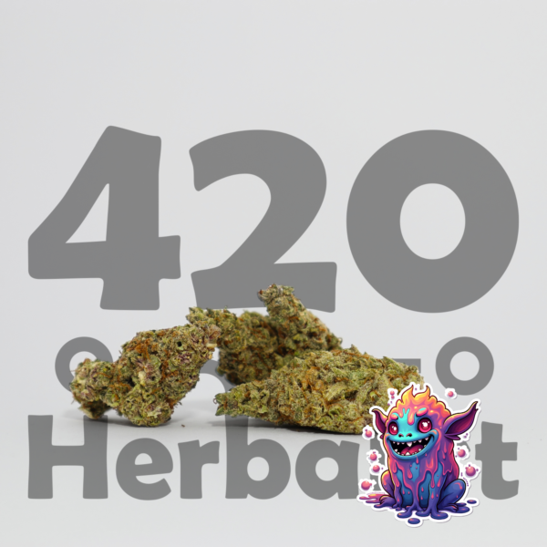 Terple AAA Indoor 3G Hybrid Terple AAA Indoor 3G Hybrid