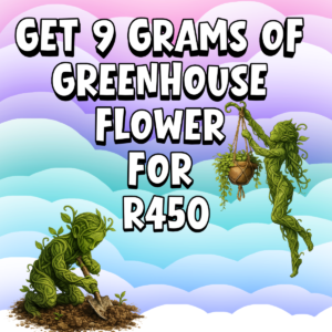 Greenhouse Flower 9 Grams Special