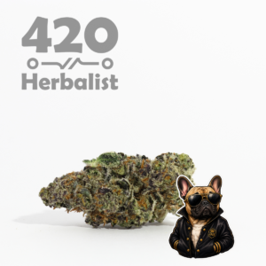 Velvet Truffle AAA Indoor 3G Indica