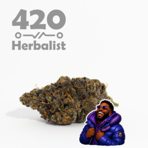 Blockberry AAA Indoor 3G Hybrid/Indica