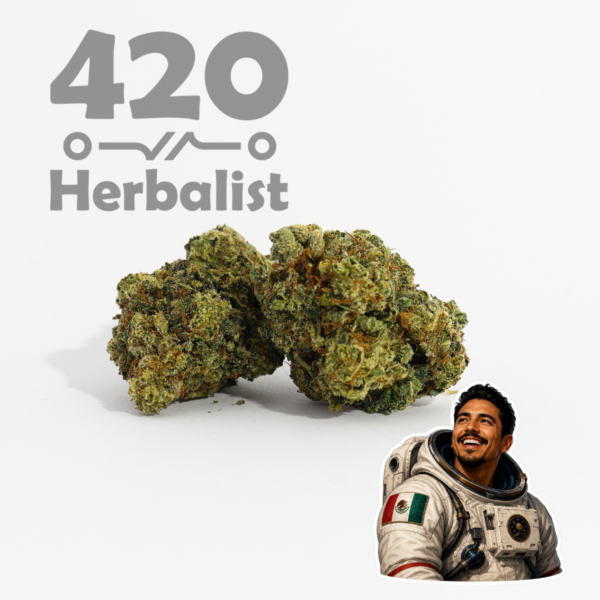 Mexican Moonwalker AAA Indoor 3G Indica